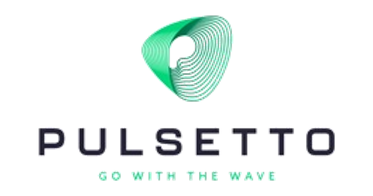 Pulsetto Company Profile: Funding, Investors & Partnerships
