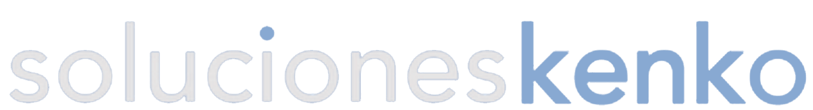 Soluciones Kenko - Team members, CEO, Employees